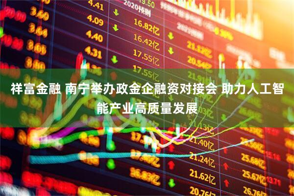 祥富金融 南宁举办政金企融资对接会 助力人工智能产业高质量发展