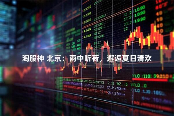 淘股神 北京：雨中听荷，邂逅夏日清欢