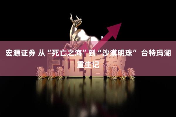 宏源证券 从“死亡之海”到“沙漠明珠” 台特玛湖重生记