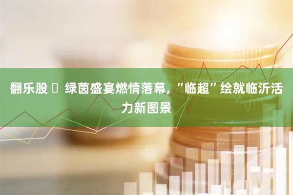 翻乐股 ‌绿茵盛宴燃情落幕, “临超”绘就临沂活力新图景
