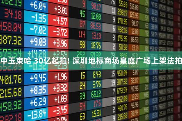 中玉束哈 30亿起拍! 深圳地标商场皇庭广场上架法拍
