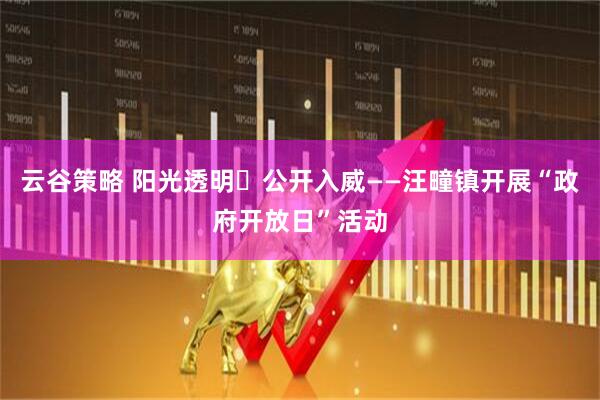 云谷策略 阳光透明・公开入威——汪疃镇开展“政府开放日”活动