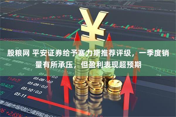 股粮网 平安证券给予赛力斯推荐评级，一季度销量有所承压，但盈利表现超预期